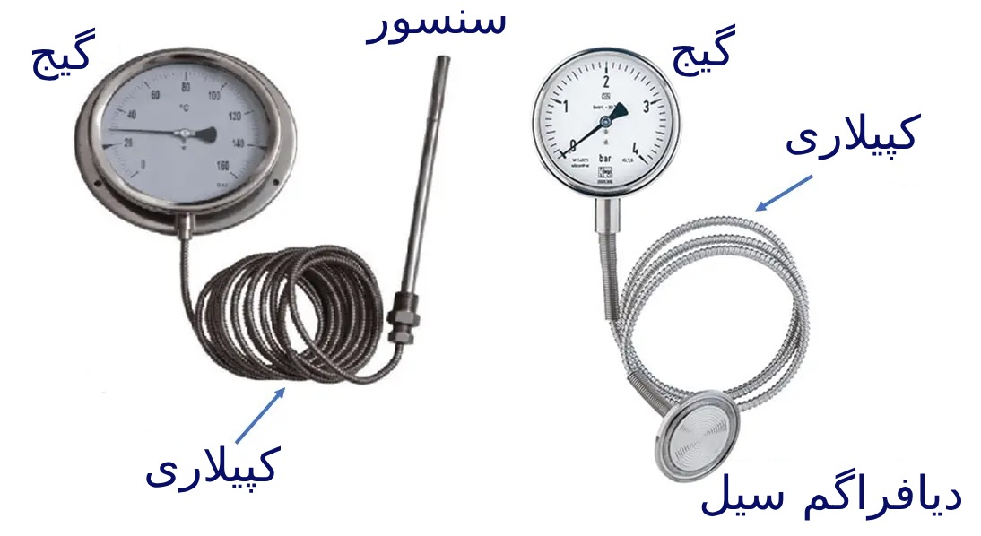 کپیلاری
